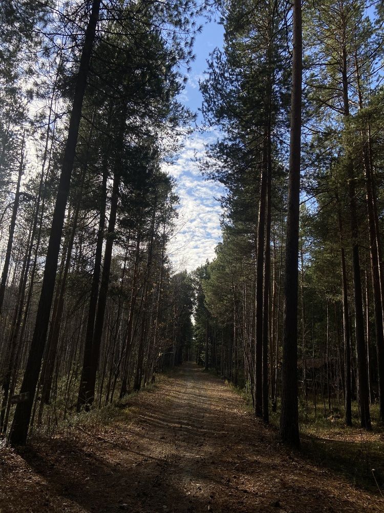 Photograph by Елена Мусина