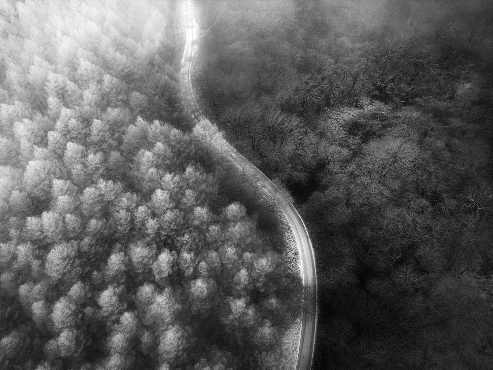 Фотография автора Luong Quyen