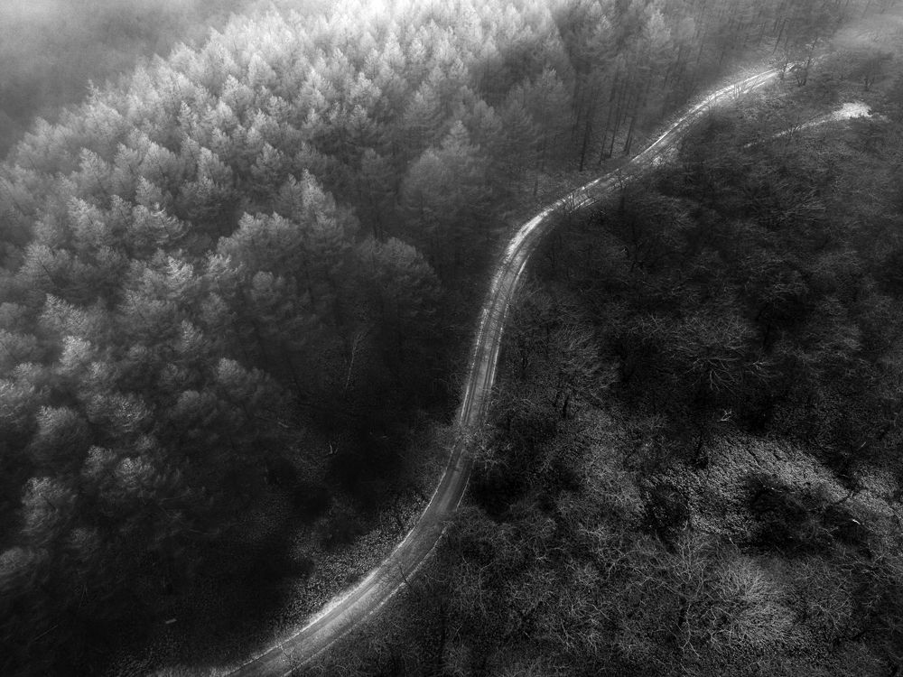 Фотография автора Luong Quyen