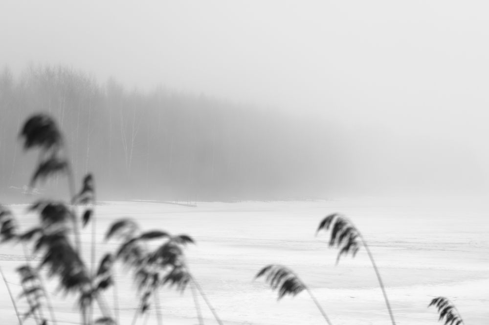 Photograph by Егор Кочергин