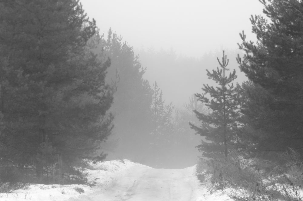 Photograph by Егор Кочергин