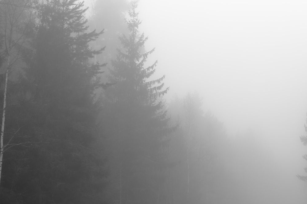 Photograph by Егор Кочергин