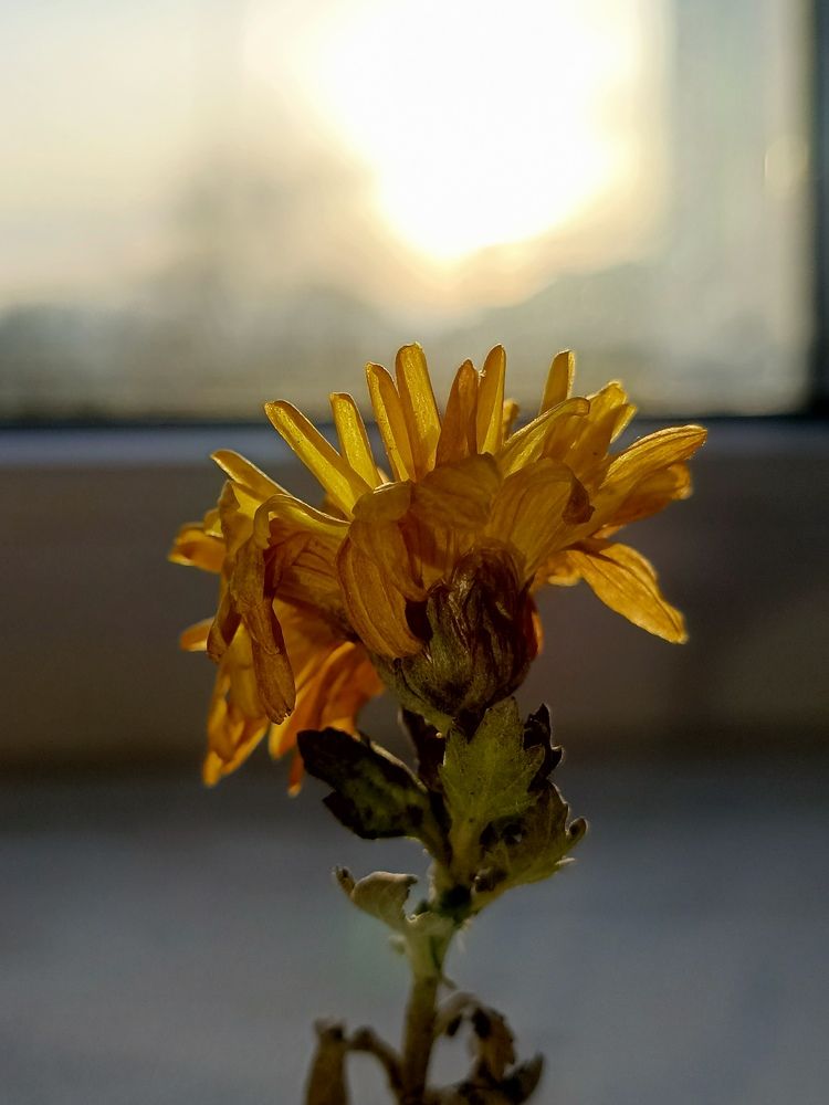 Photograph by Александр Казачек