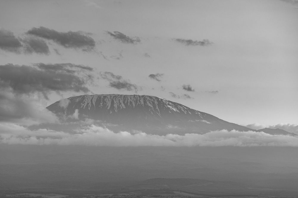 Photograph by Trivet Antony