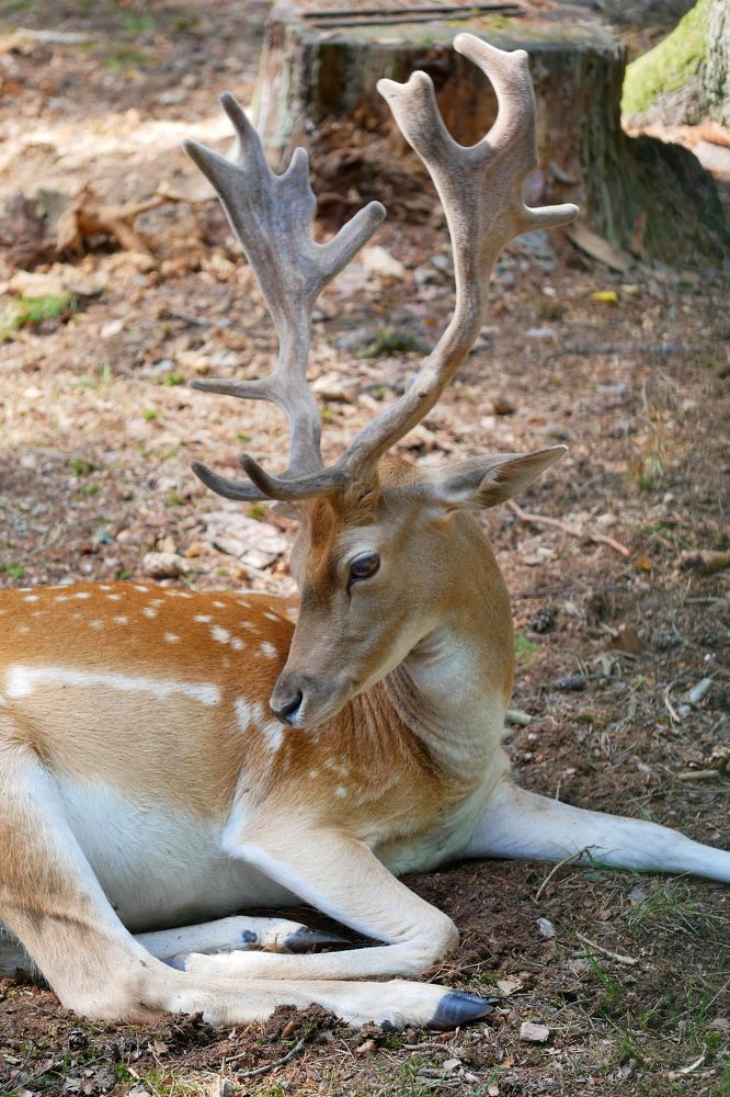 Photograph by Владимир Лобанов