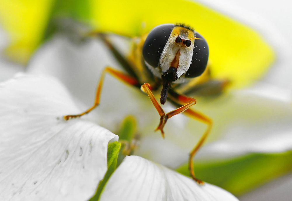 Photograph by Marjo Steffen