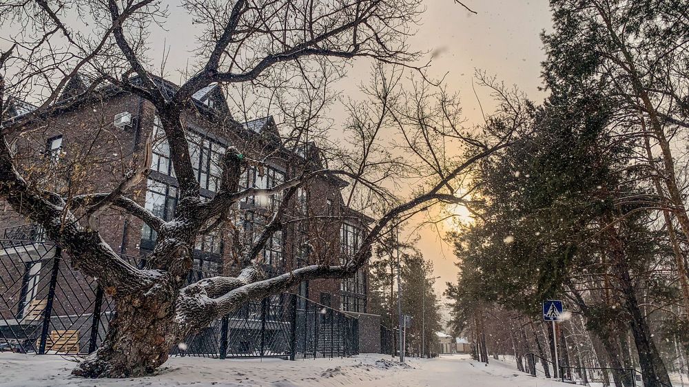 Фотография автора Margarita Chsherbakova