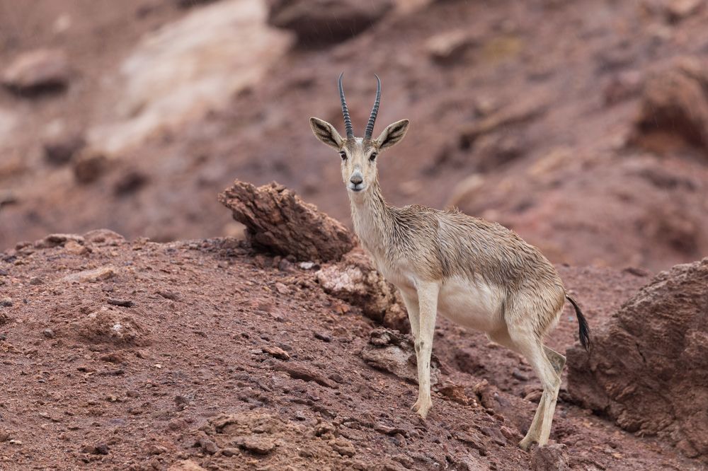 Photograph by Калинин Игорь