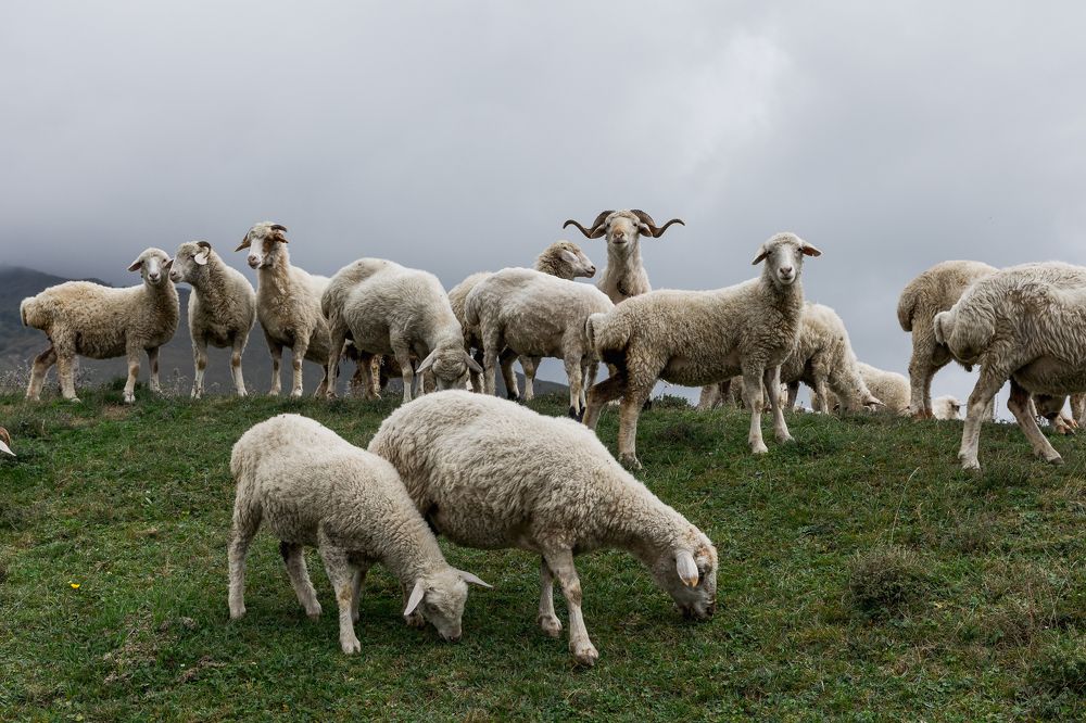 Photograph by Мария Раздорова