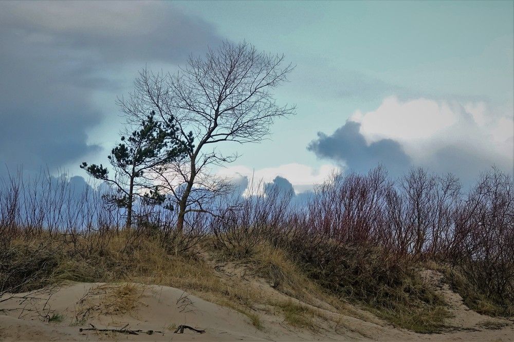 Photograph by jelena konickaja