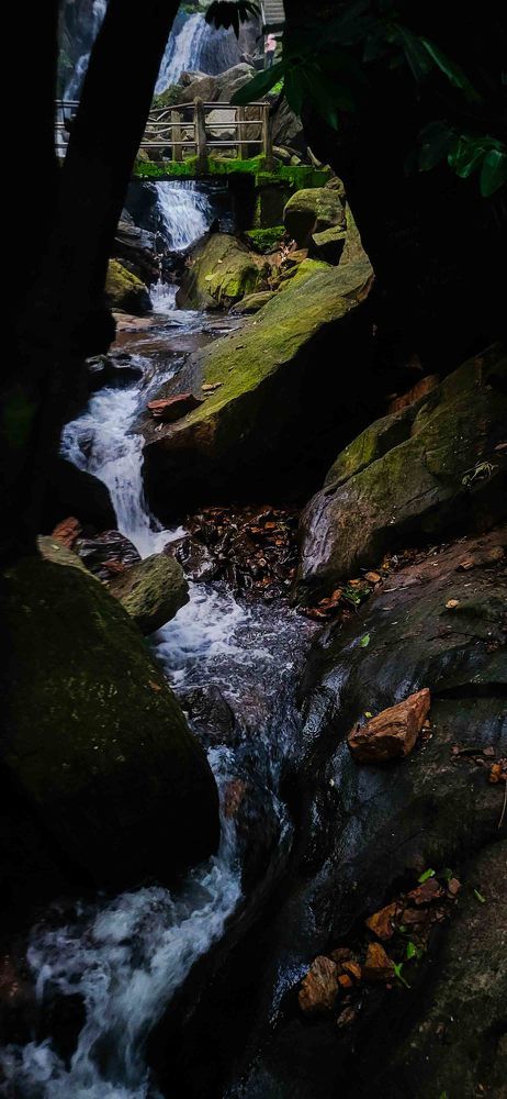 The Hidden Gem: A Walk by the Stream