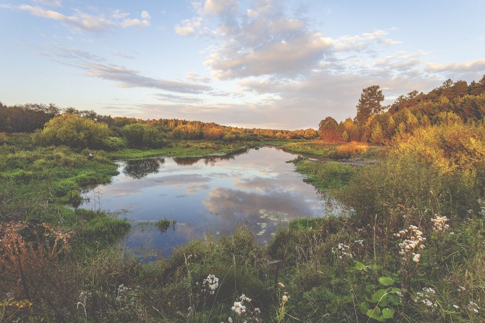 Photograph by федотов Алексей