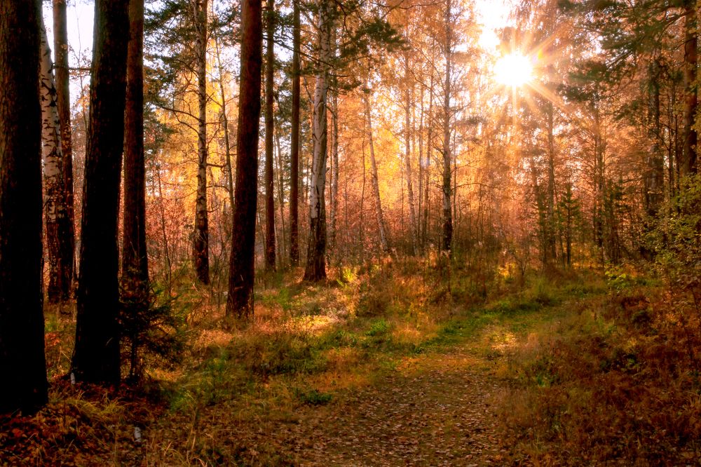 Photograph by федотов Алексей