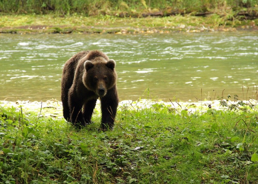 И тут я понял что пора уходить)
