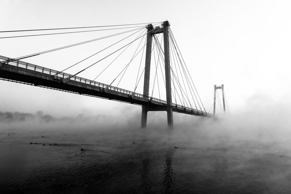 Photograph by Александр Пургин