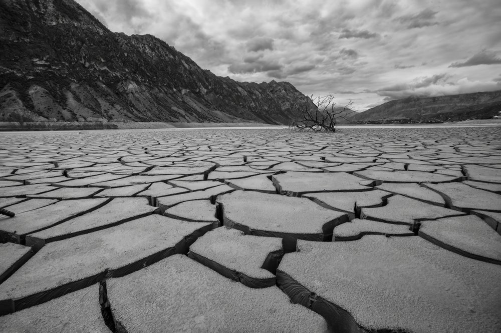 Photograph by Анастасия Калинцева