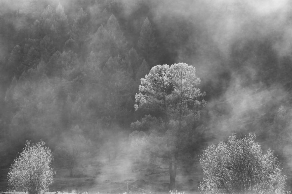 Photograph by Анастасия Калинцева