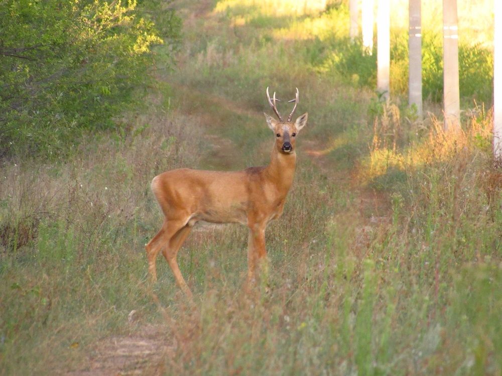 Photograph by Денис Веску