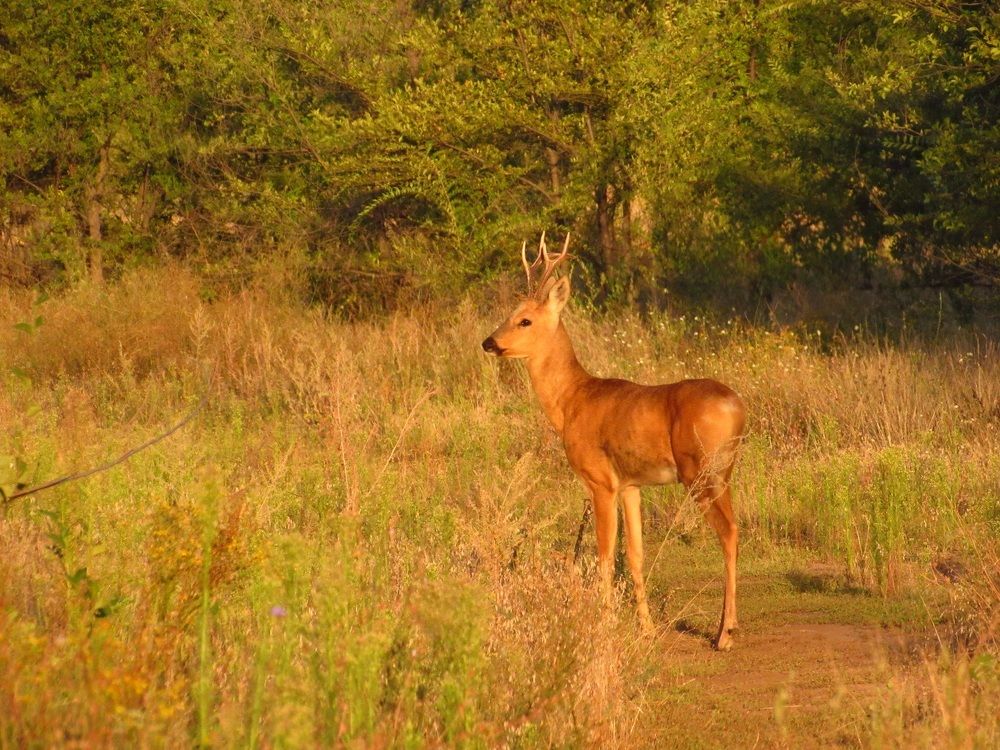Photograph by Денис Веску