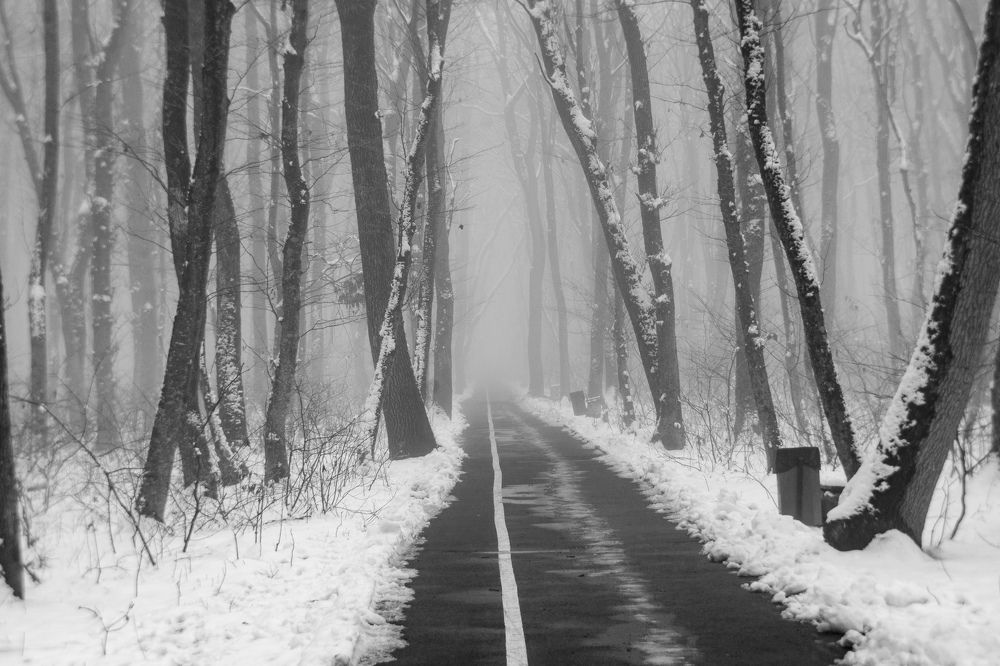 Photograph by Виталий Маслов