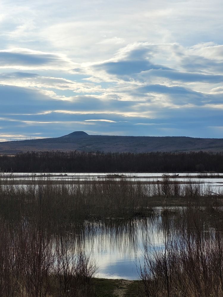 Фотография автора Казакова Людмила Ивановна