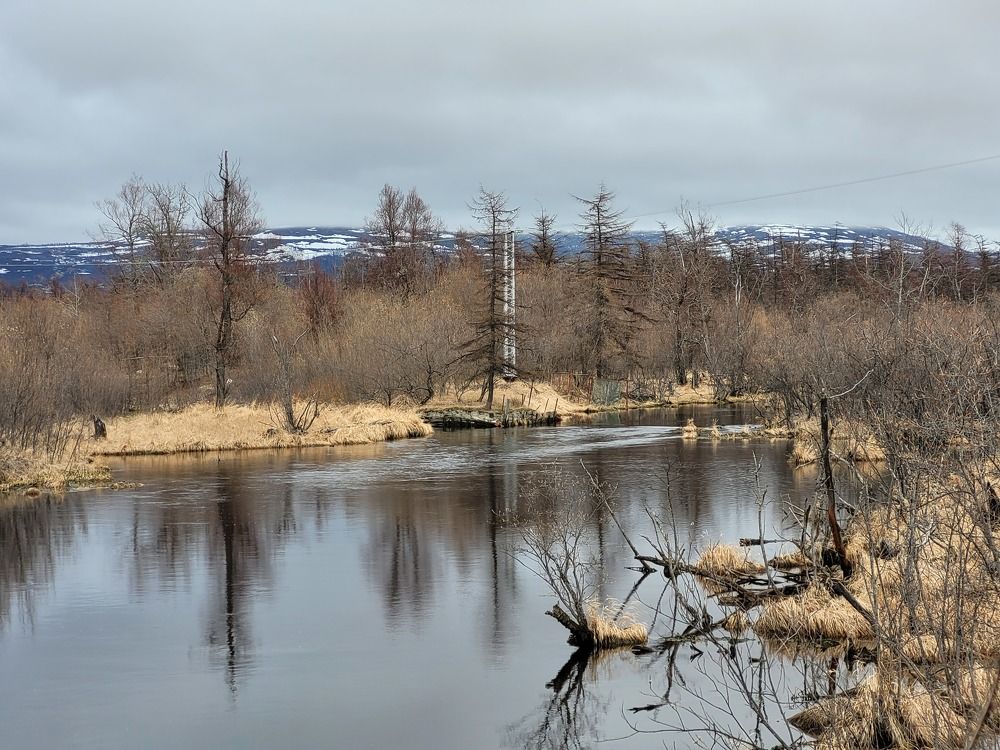 Фотография автора Казакова Людмила Ивановна