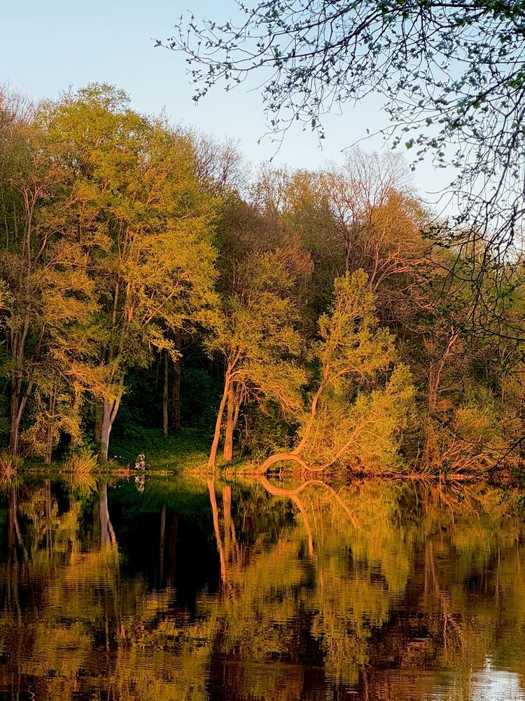 Photograph by Bobro Foto