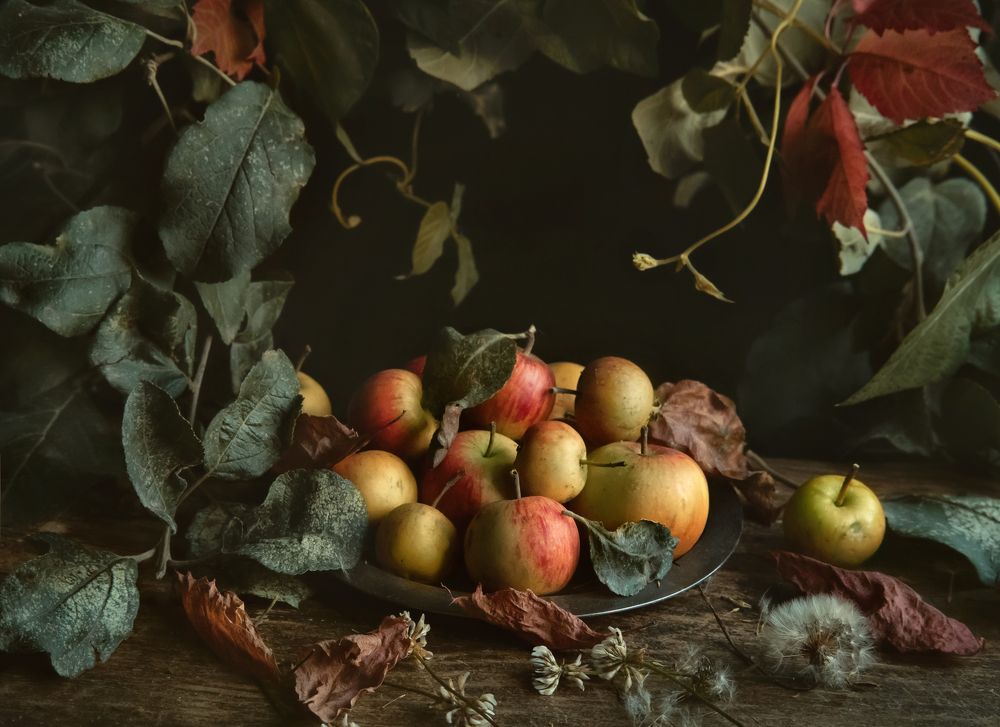 Photograph by Нина Жихарева