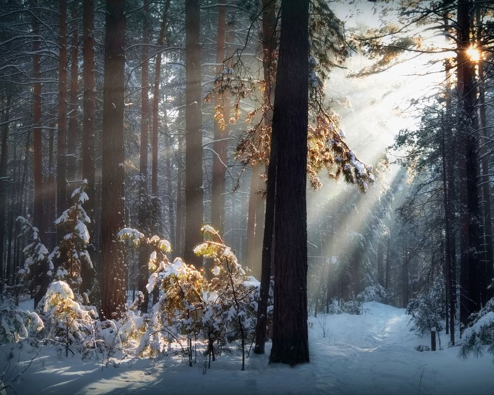 Photograph by Кузнецов Дмитрий