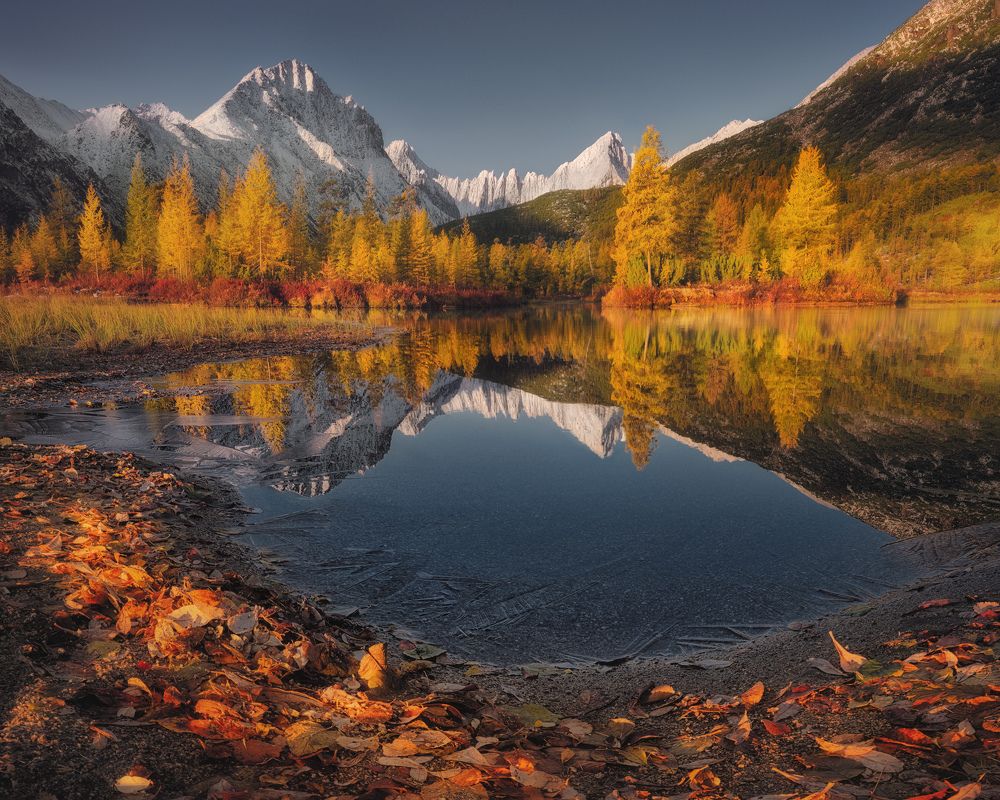 Photograph by Медянцев Дмитрий