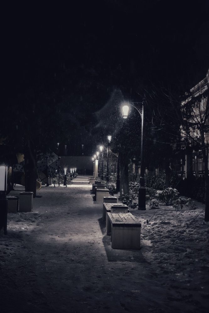 Снежная аллея