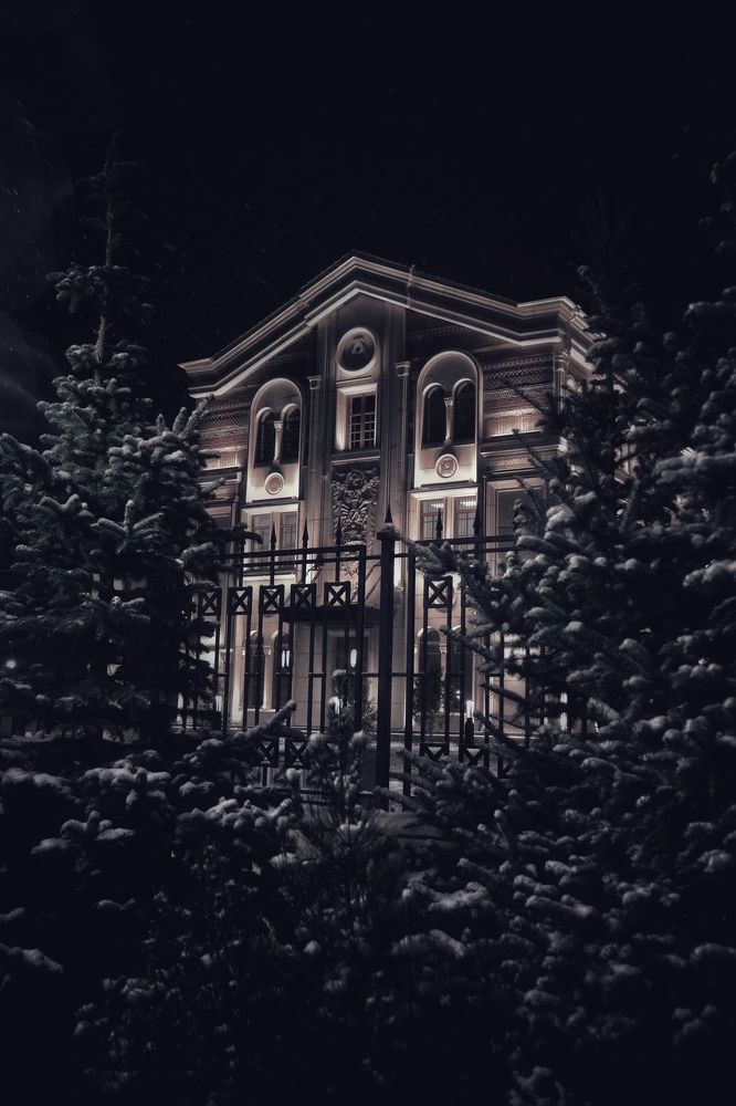 За снежными елями