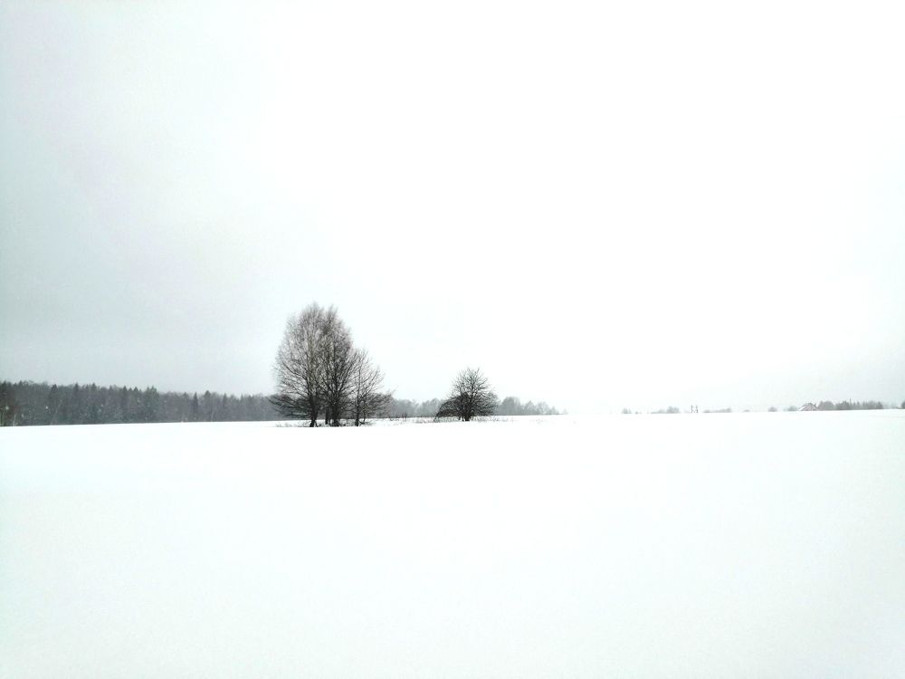 Photograph by Ольга Соловьёва