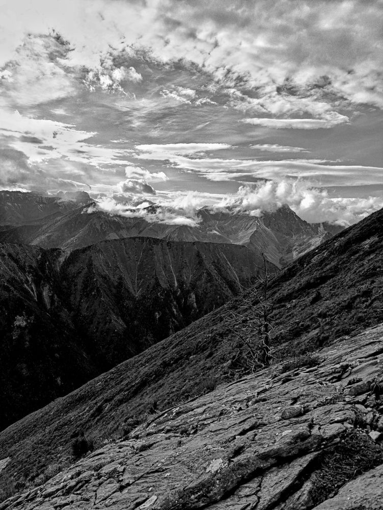 Photograph by Елена Шишкина