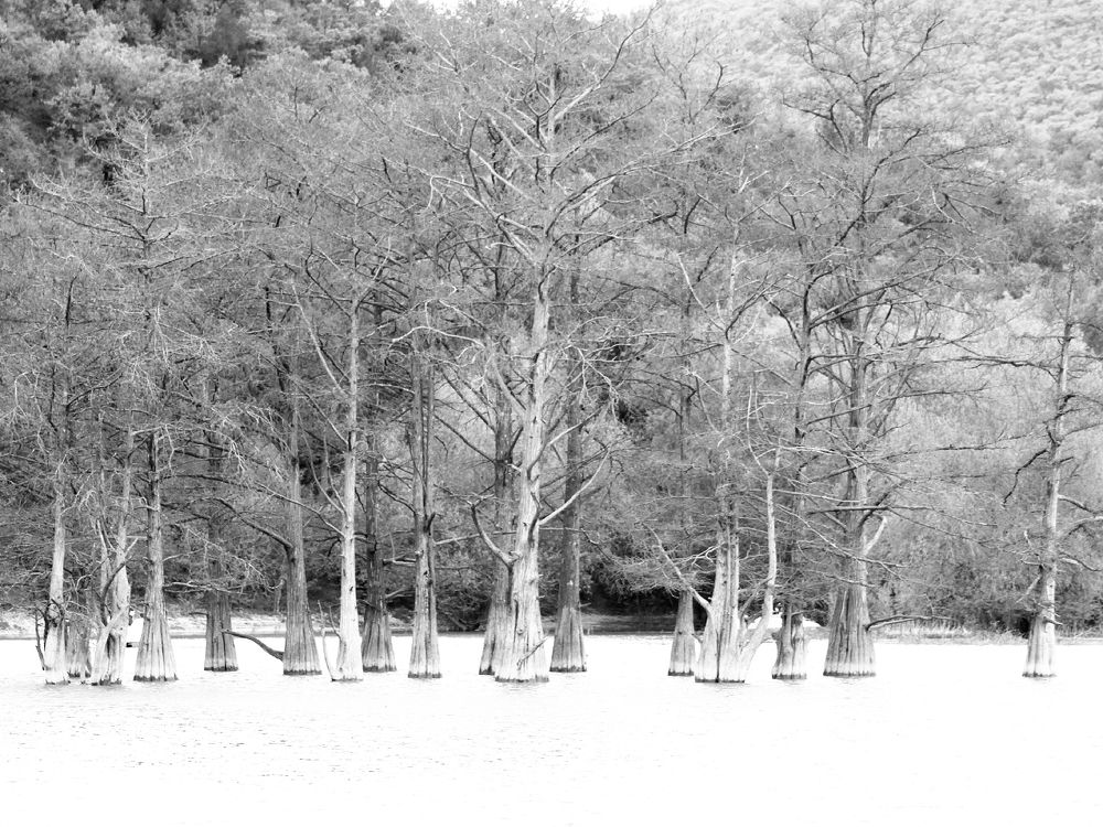 Photograph by Алексей Коношонкин