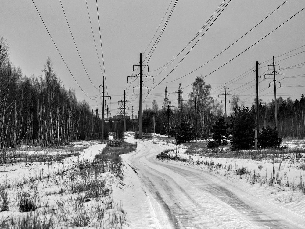 Фотография автора Елена Чиликина