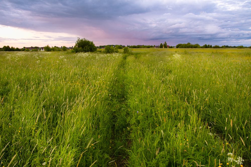 Photograph by  Максим