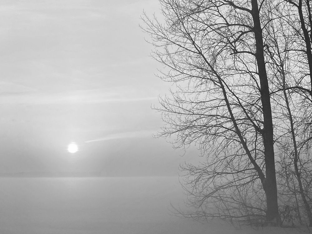 Photograph by Alia Khairullina