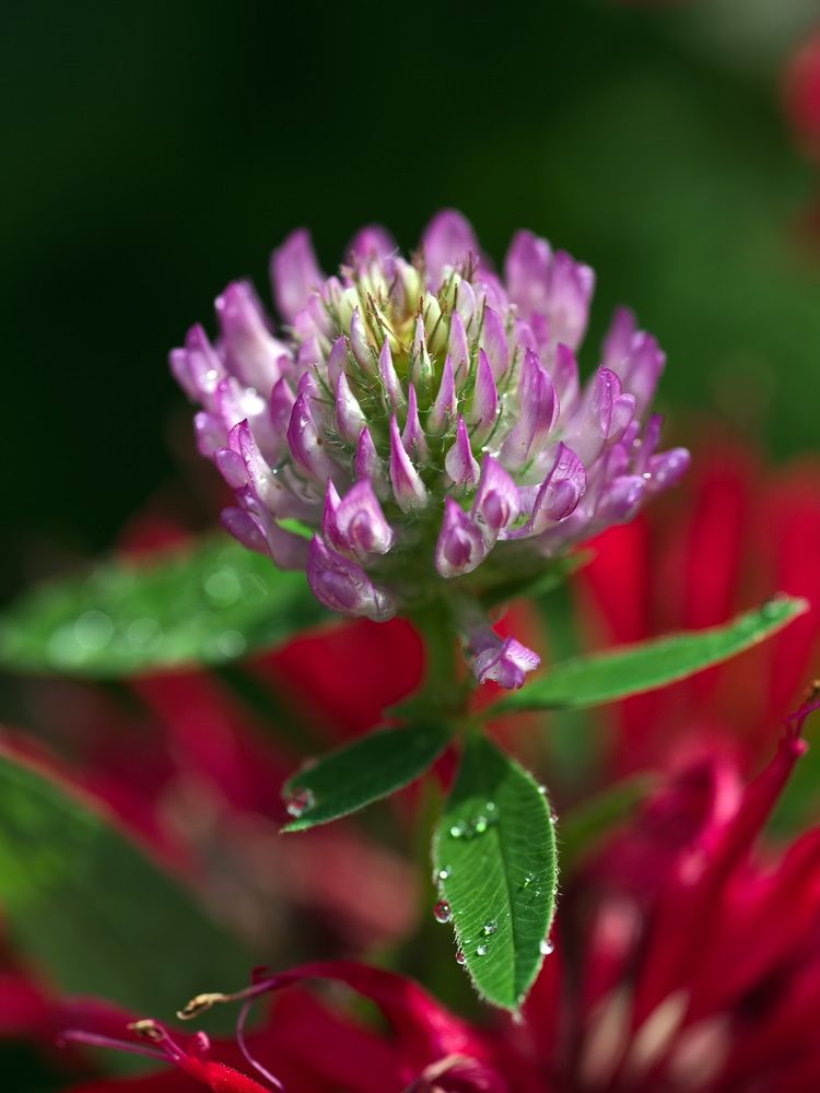 Фотография автора Юрий Кашлевский