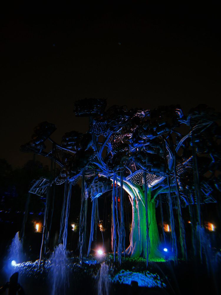 Photograph by Abhimun Goel