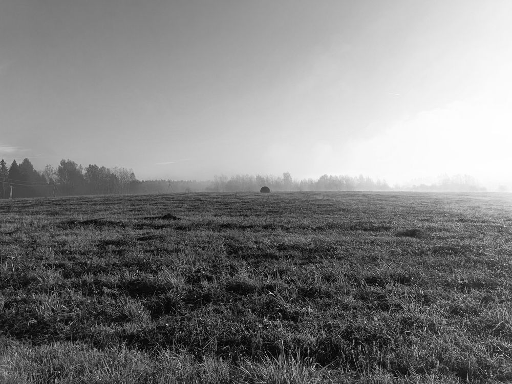 Фотография автора Андрей Занкович