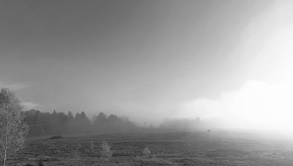 Фотография автора Андрей Занкович