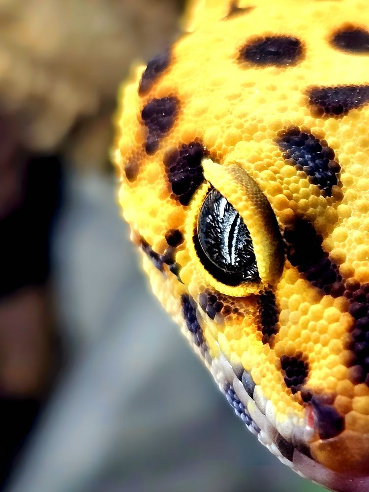 Photograph by Владислав Моисеев