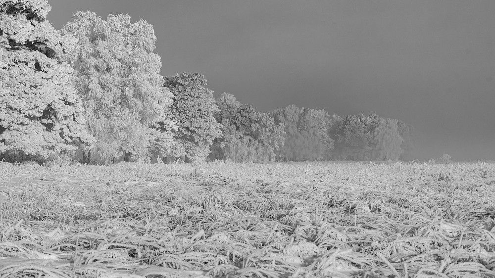 Photograph by Вадим Басов