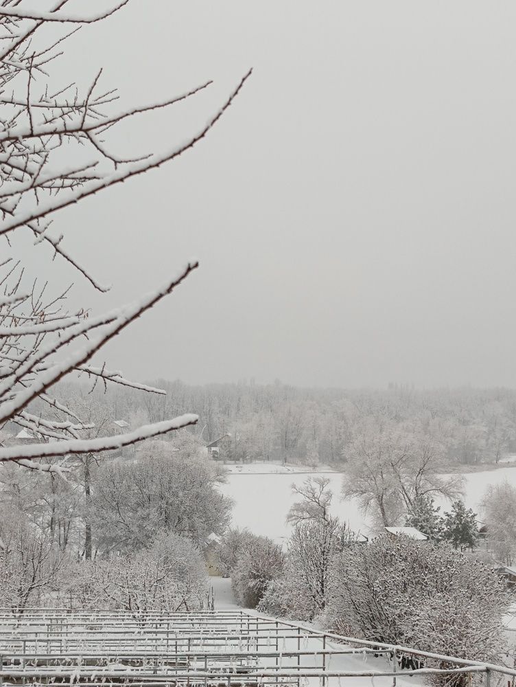 Фотография автора Елена Александрова