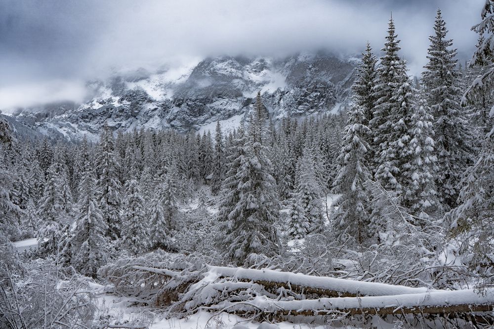 Photograph by Алексей Цецохо