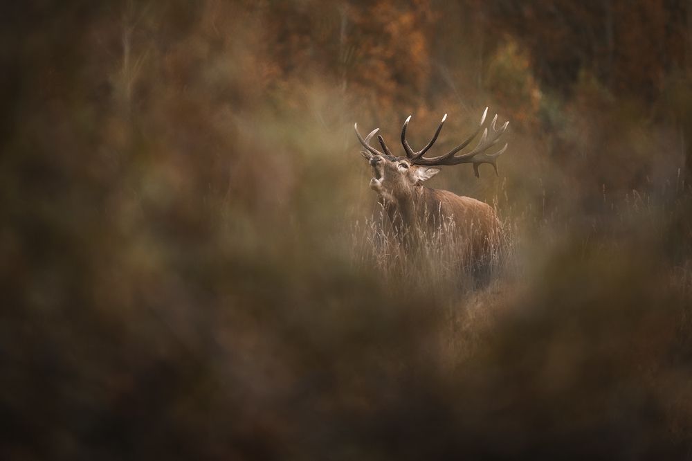 Осенний круговорот