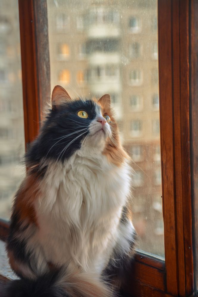 Photograph by Victor Mylov