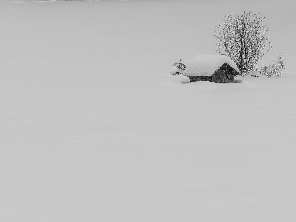 Photograph by Виталий Маслов