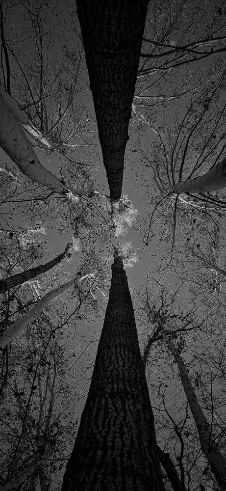 Фотография автора Mahdi Mohammadi